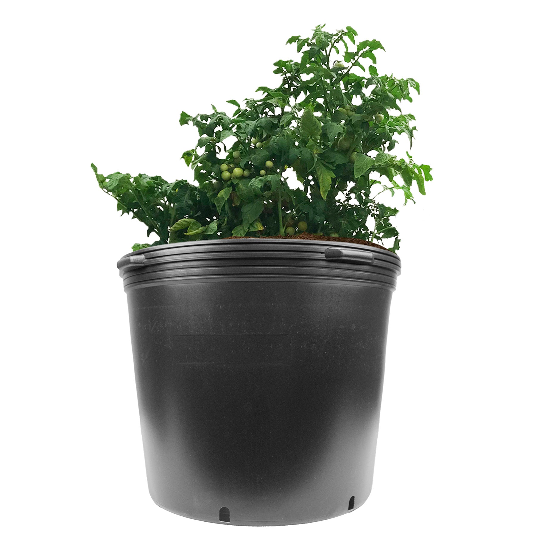 Viagrow 20 Gallon Nursery Pot