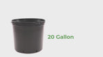 Load and play video in Gallery viewer, Viagrow 1 Gallon Nursery Pot
